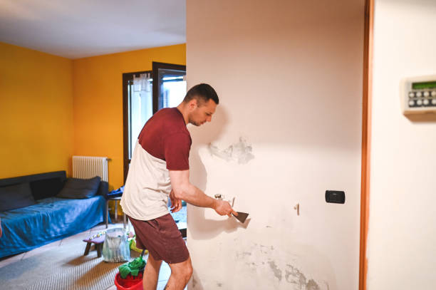Certified Mold Removal in Beaver Creek, TX